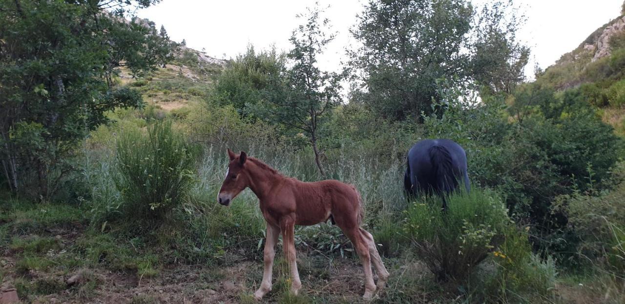 Casa Rural Carmen Luna Mallo de Luna Экстерьер фото